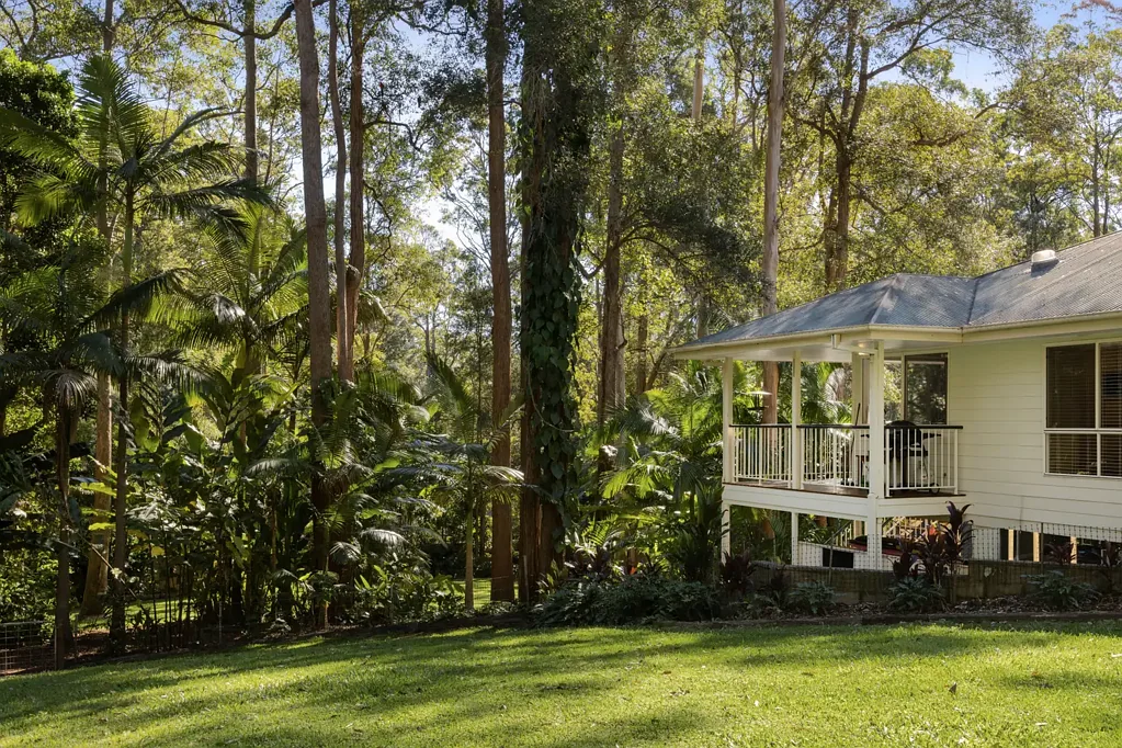 Tanawha 4房  Whisper Quiet Rainforest Retreat: Space, Privacy & Family Potential