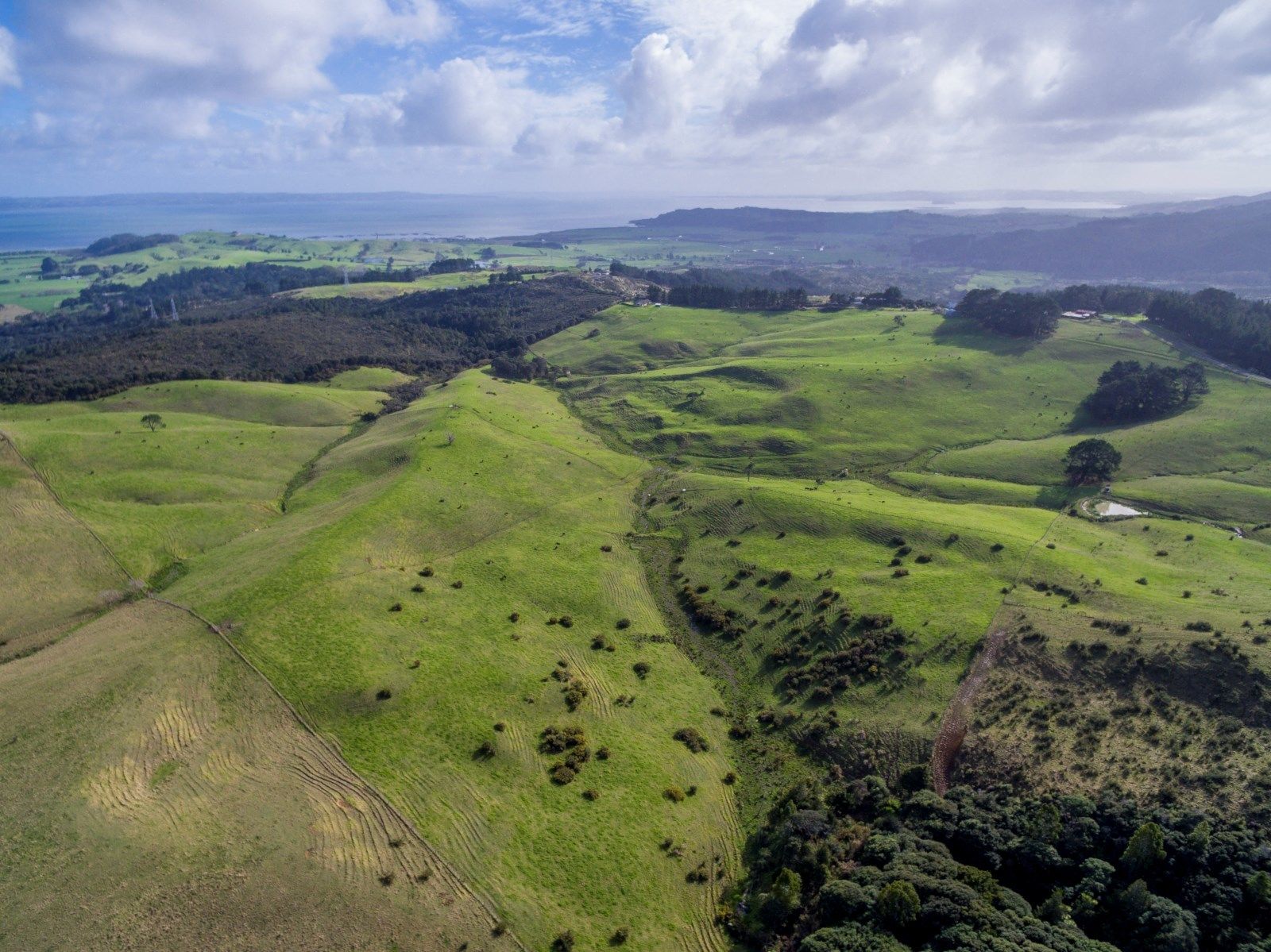 156 Tuhirangi Road, Makarau, Auckland - Rodney, 4 habitaciones, 2 baños