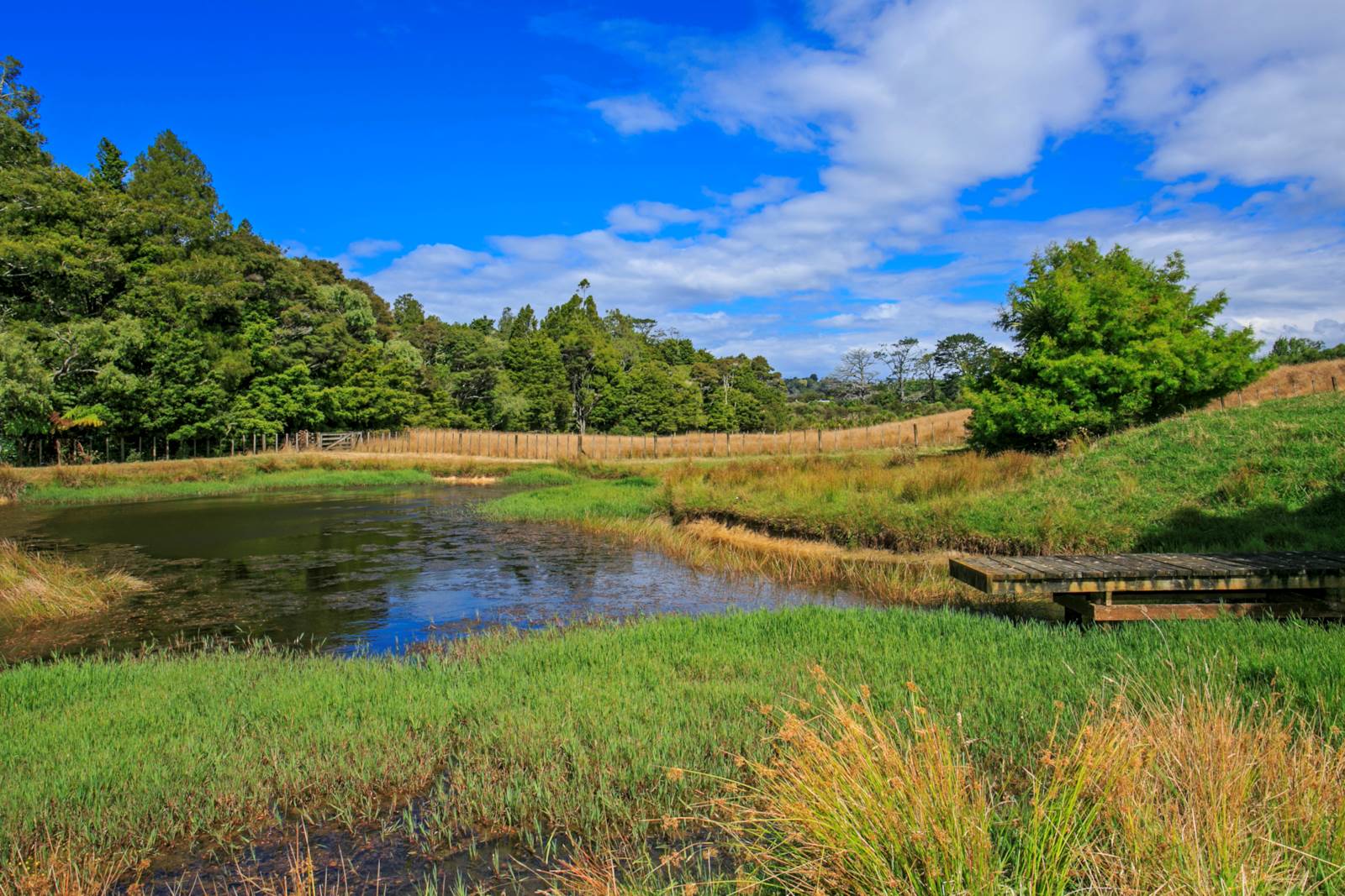 45 Escott Road, Dairy Flat, Auckland - Rodney, 5 habitaciones, 2 baños