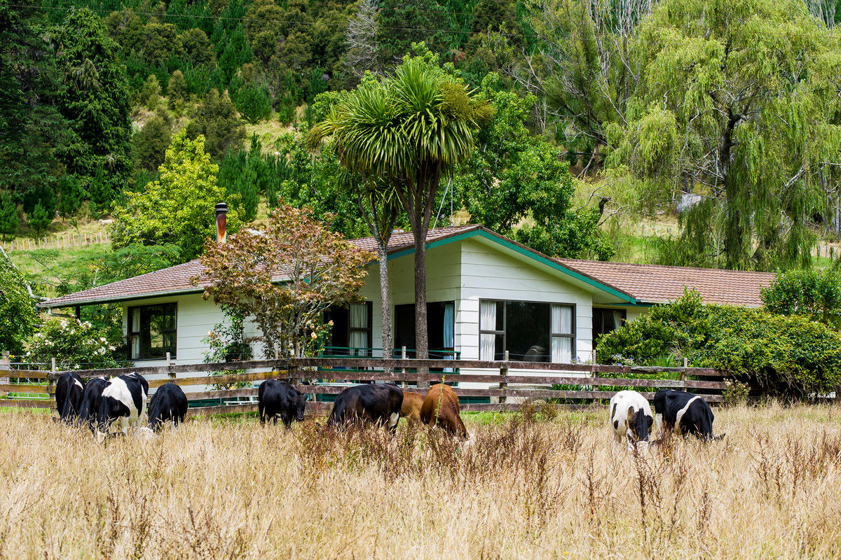 322 Bruce Road, Whatatutu, Gisborne, 4 rūma, 1 rūma horoi