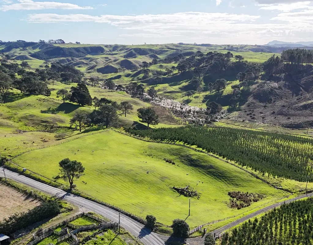 Dargaville Developer Has Reduced Price - Now $299,000