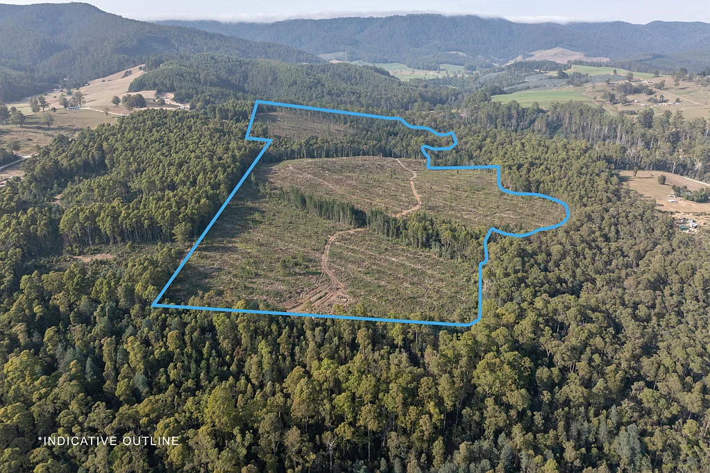 Talawa  Forestry Block with Potential for Future Development on 40.47Ha (100acres)