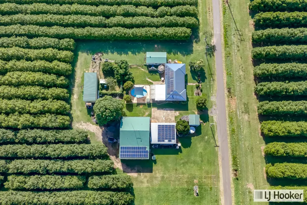 Alloway  Established Macadamia Farm with Proven Production, Water Security and Lifestyle Living