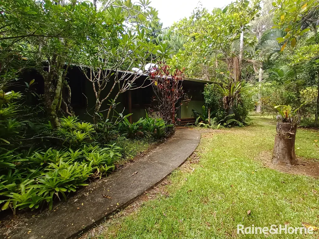7 White Beech Road, COW BAY, Daintree, QLD 4873