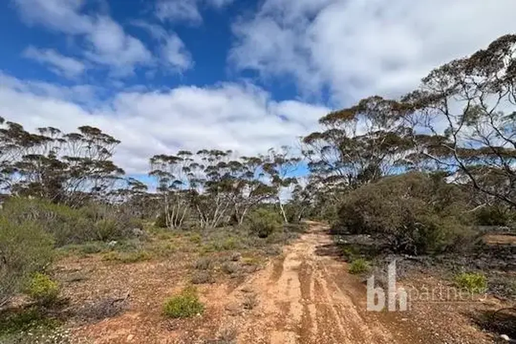 Fisher 75 Acre Scrub Block, Great Picturesque Weekender!