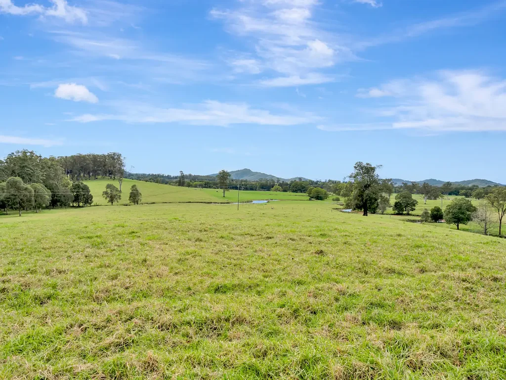 South Arm Simply the Best – A Standout Rural Lifestyle Property