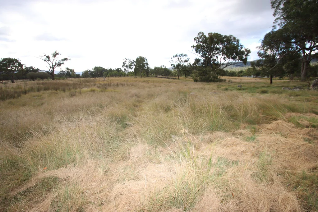 Lot 1423 Sunnyside Hall Road, Tenterfield, NSW 2372