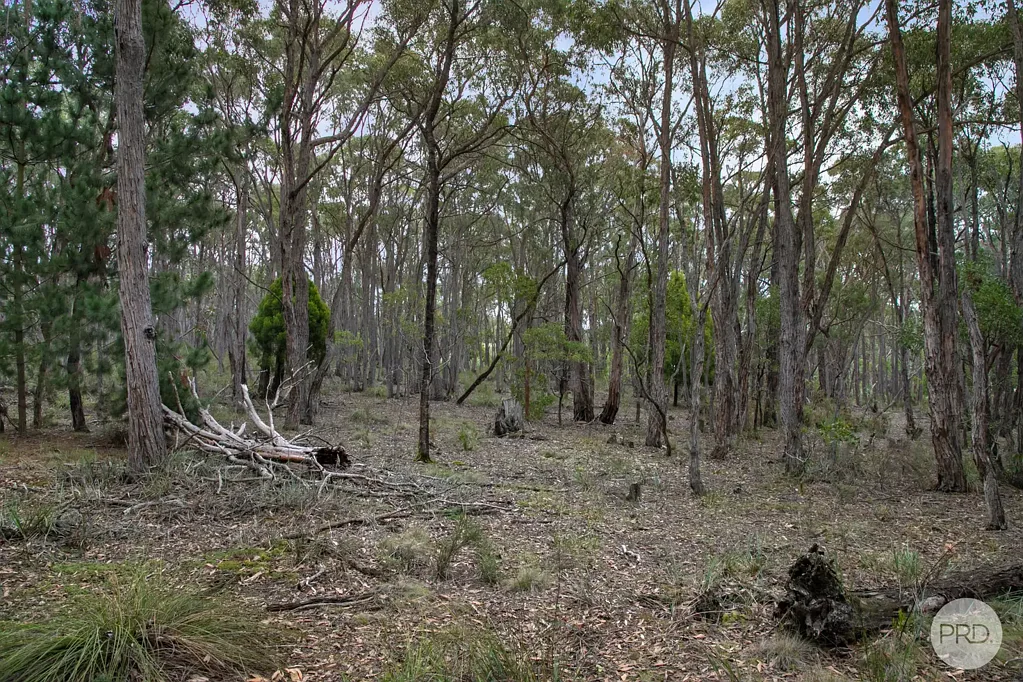 Smythesdale Prime Land Opportunity Surrounded by Nature