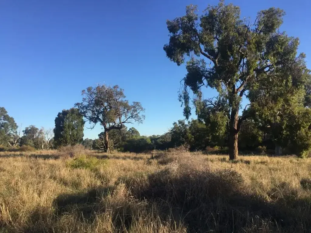 Karnup  Land with 2x1 Off-Grid Home for sale - Vineyard, Brewery, B&B potential, Market Garden or stylish retirement