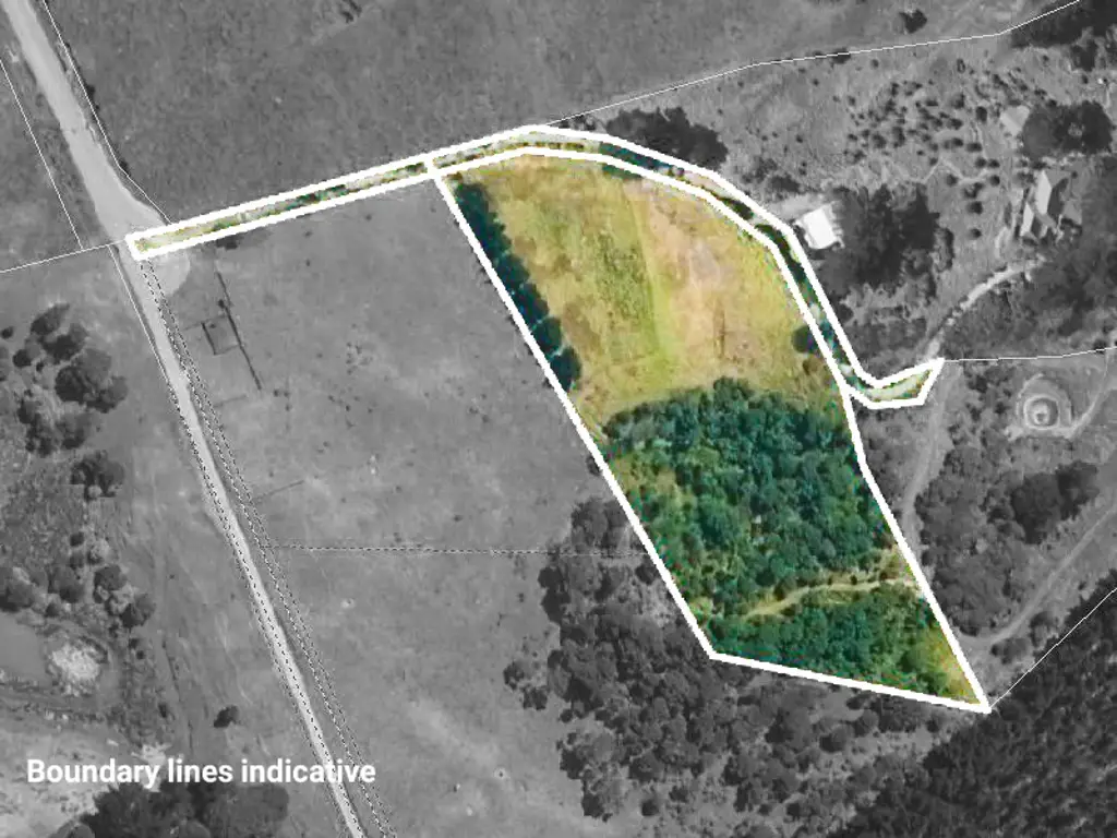 Helensville Discover Your Dream Lifestyle Block!