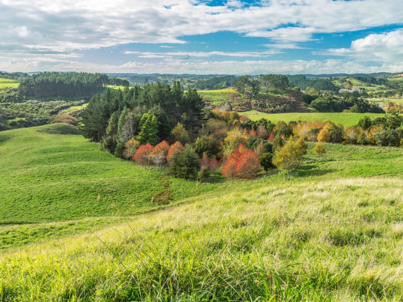 Rural  Countryside Living Zone