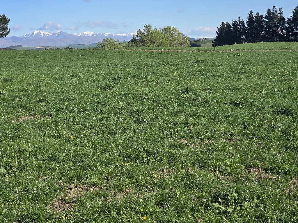 Enfield and Surrounds Irrigated Dairy Support Property