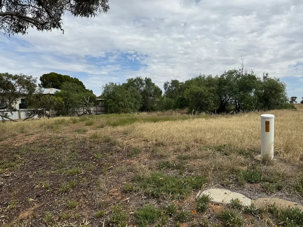 25 Brook Street, Woomelang, VIC 3485