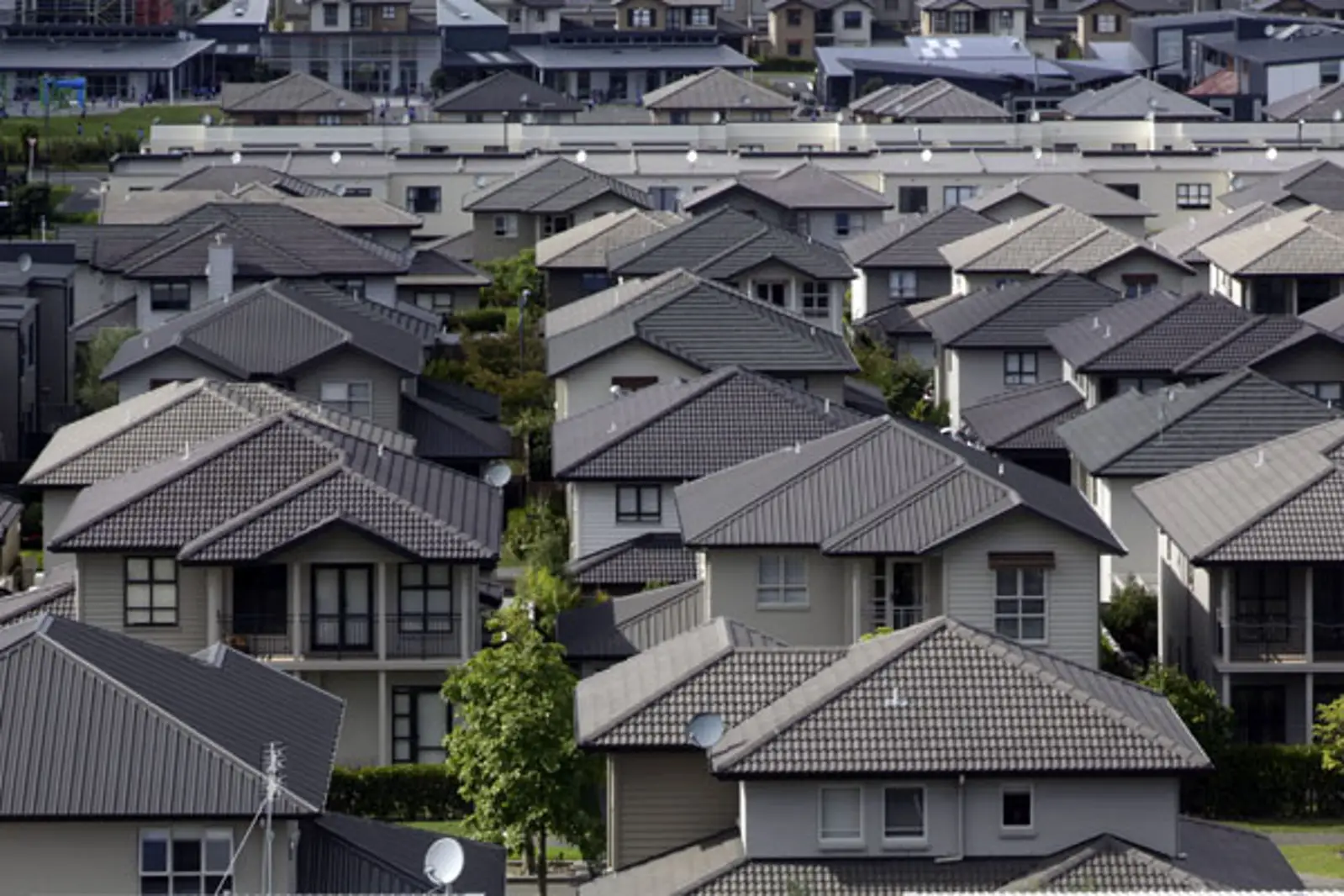 在“土地银行”的打压下,奥克兰特殊住宅区(SHA)或将破产? ...