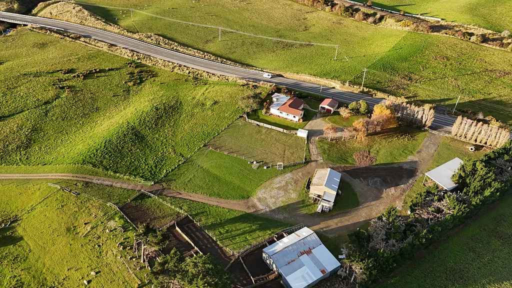 Hampden Moeraki Downs