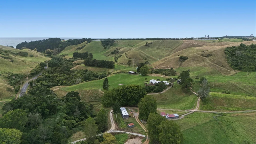 Matata Horticulture, Grazing or Large Lifestyle