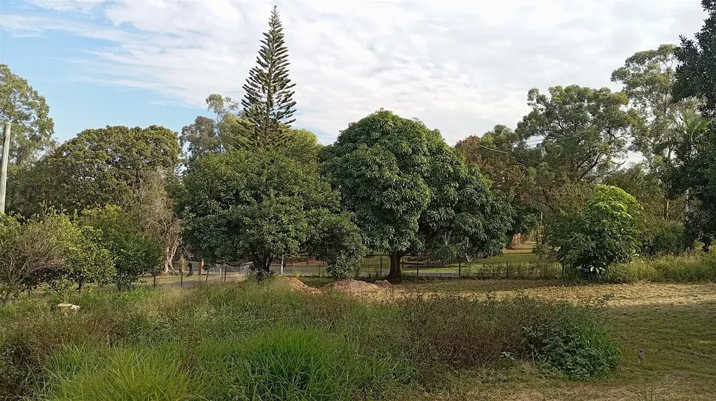 Deception Bay 4房 绿意环绕 宁静地块 4卧混凝土基座 期待创新设计改造 BESSER BLOCK House on 2859m2 BRISBANE NORTHSIDE