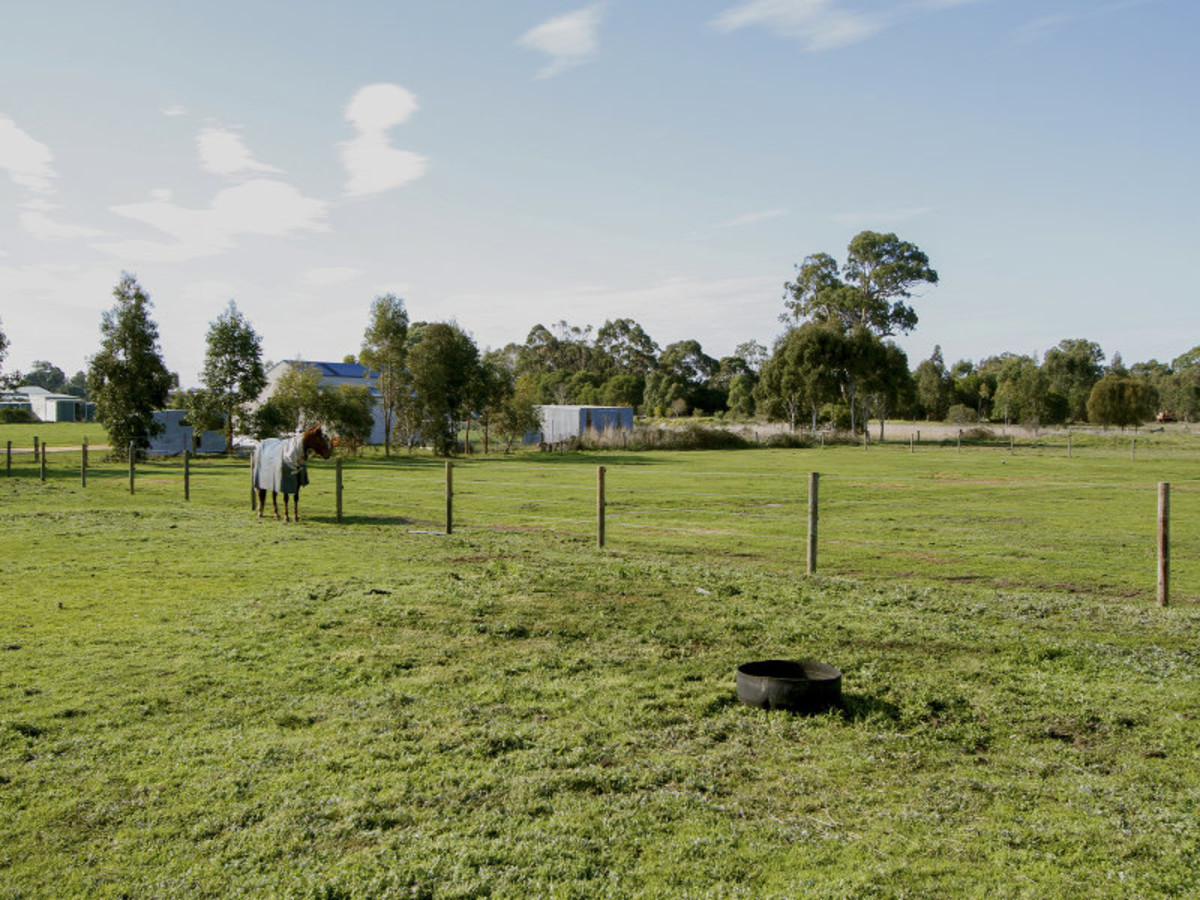 5B BOGGY CREEK RD, LONGFORD VIC 3851, 0 rūma, 0 rūma horoi, Section