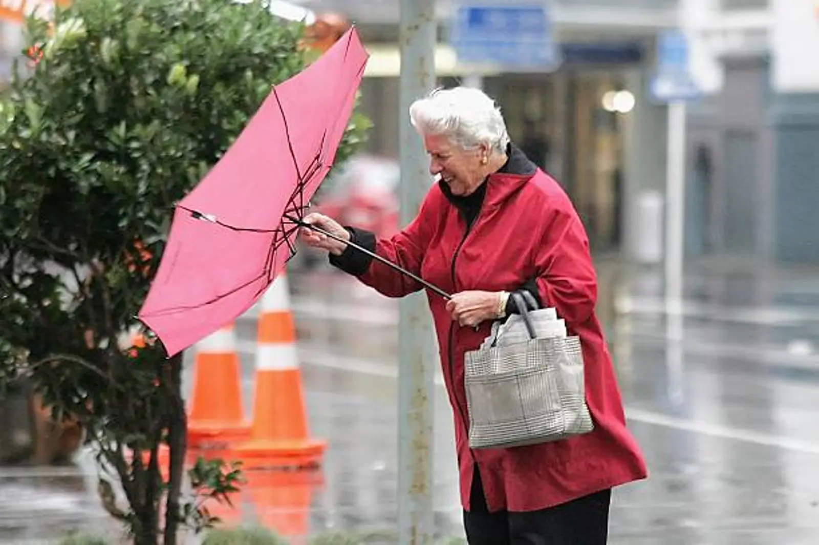 新西兰的夏天到了？明后天将迎来强风暴雨，先别急着收外套！