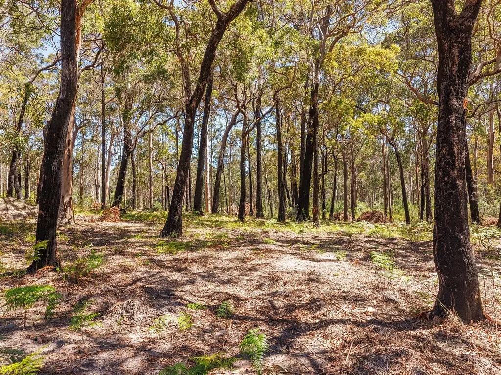 72 Wonboyn Rd, Wonboyn VIA, Eden, NSW 2551