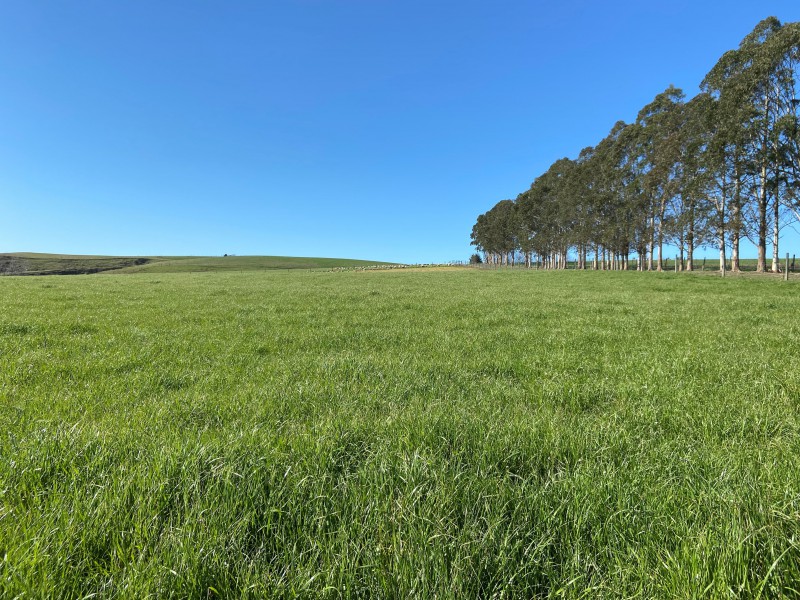 124 Colliers Road, Maungati, Waimate, 0 રૂમ, 0 બાથરૂમ