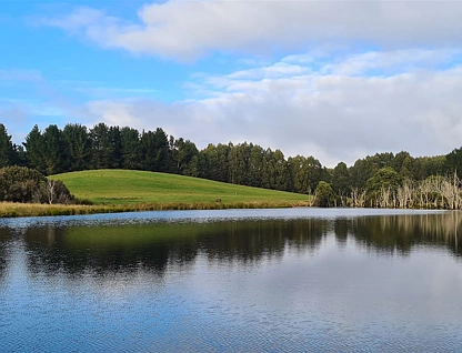 1418 Upper Natone Road, Upper Natone, West and North West, 3 rūma, 1 rūma horoi, Lifestyle Property