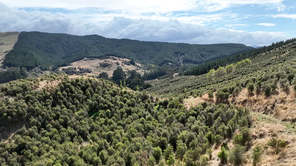 Pongaroa Hill country with carbon & honey income