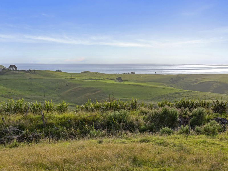 498b Phillips Road, Raglan, Waikato, 0 રૂમ, 0 બાથરૂમ