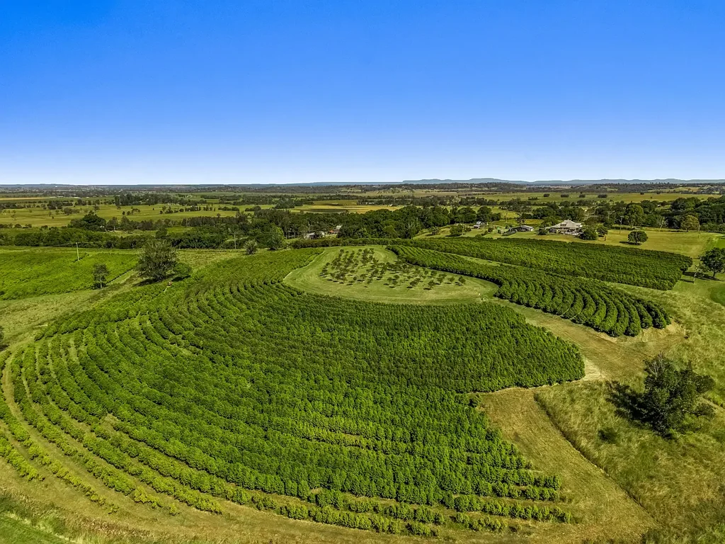 Wyrallah Rural Serenity Meets Northern Rivers Lifestyle Living