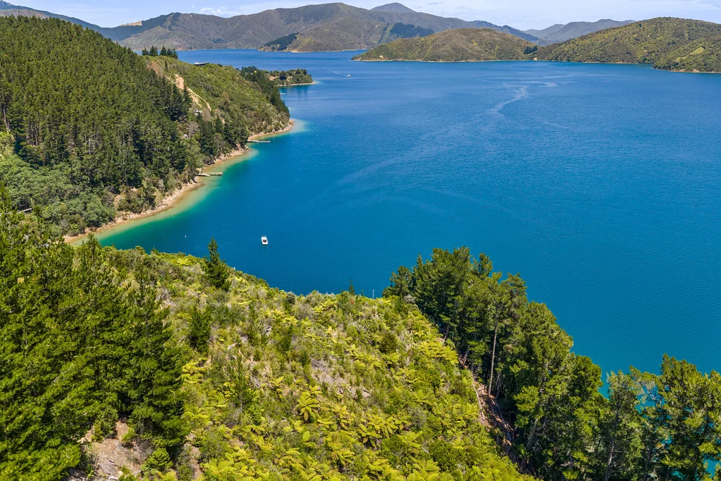 Queen Charlotte Sound Bay of many dreams