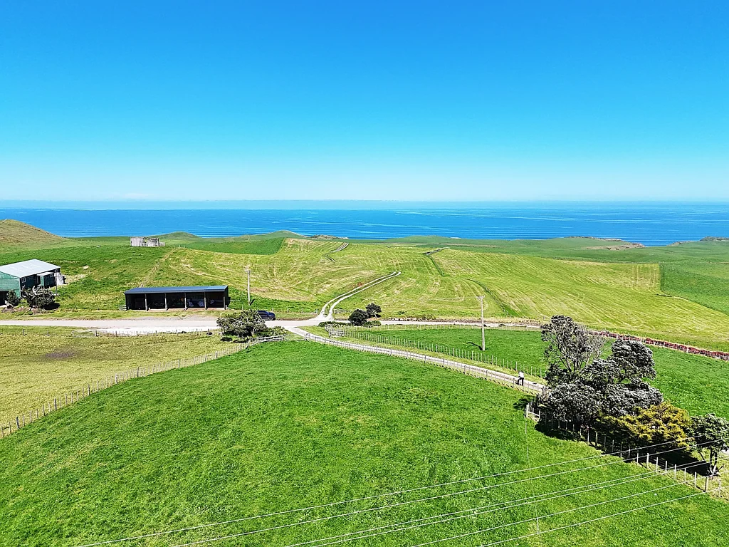 Dargaville Surrounds Coastal Vistas, Lifestyle Sections