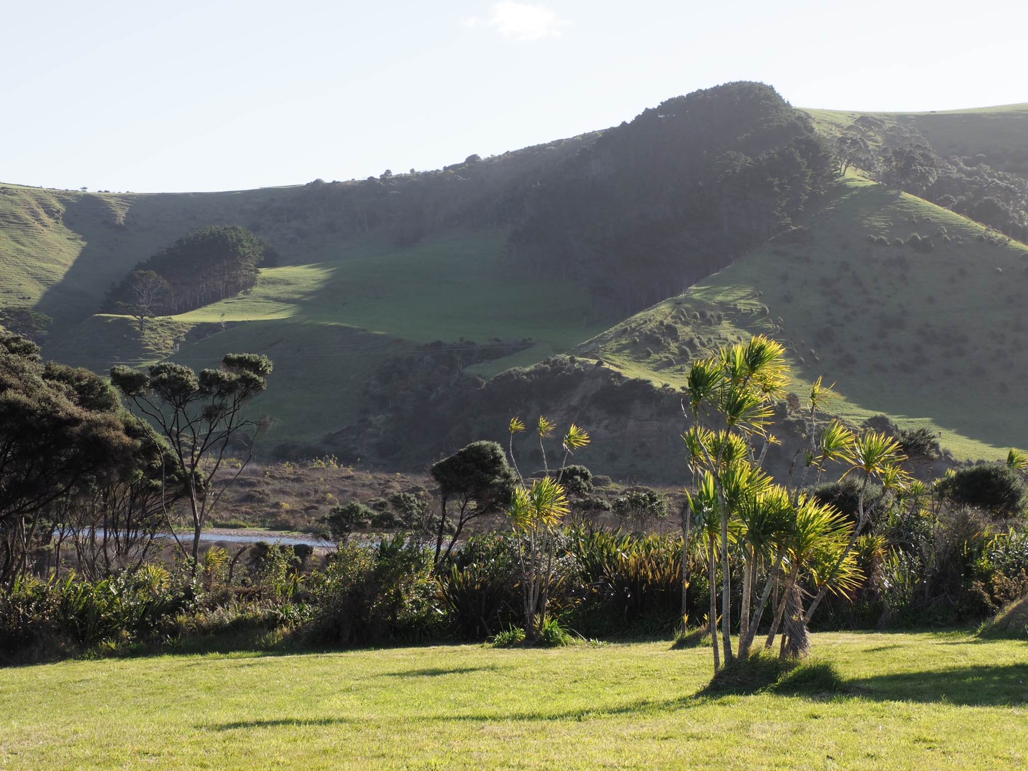 158 Bethells Road, Bethells Beach, photo 8