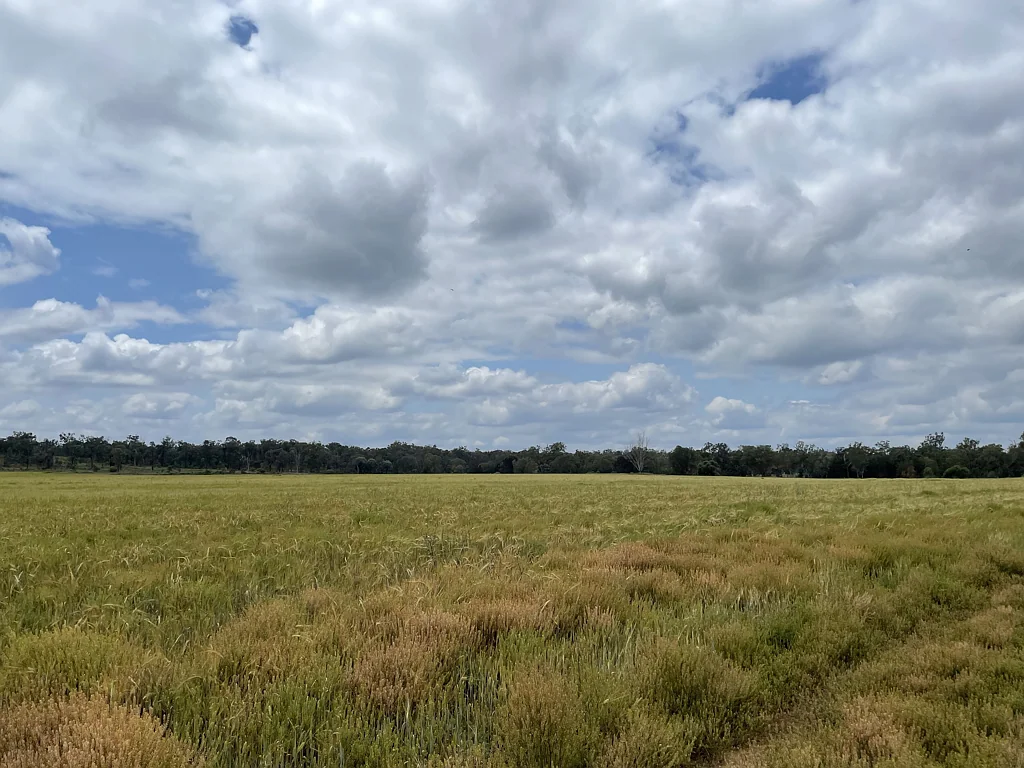 Miles Farming, Grazing and Timber Country - PRICE REDUCED AGAIN!!