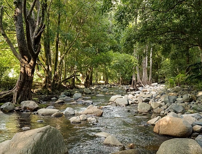 894 Cedar Creek Road, Cedar Creek, Moreton Bay Region, 4房, 2浴, House