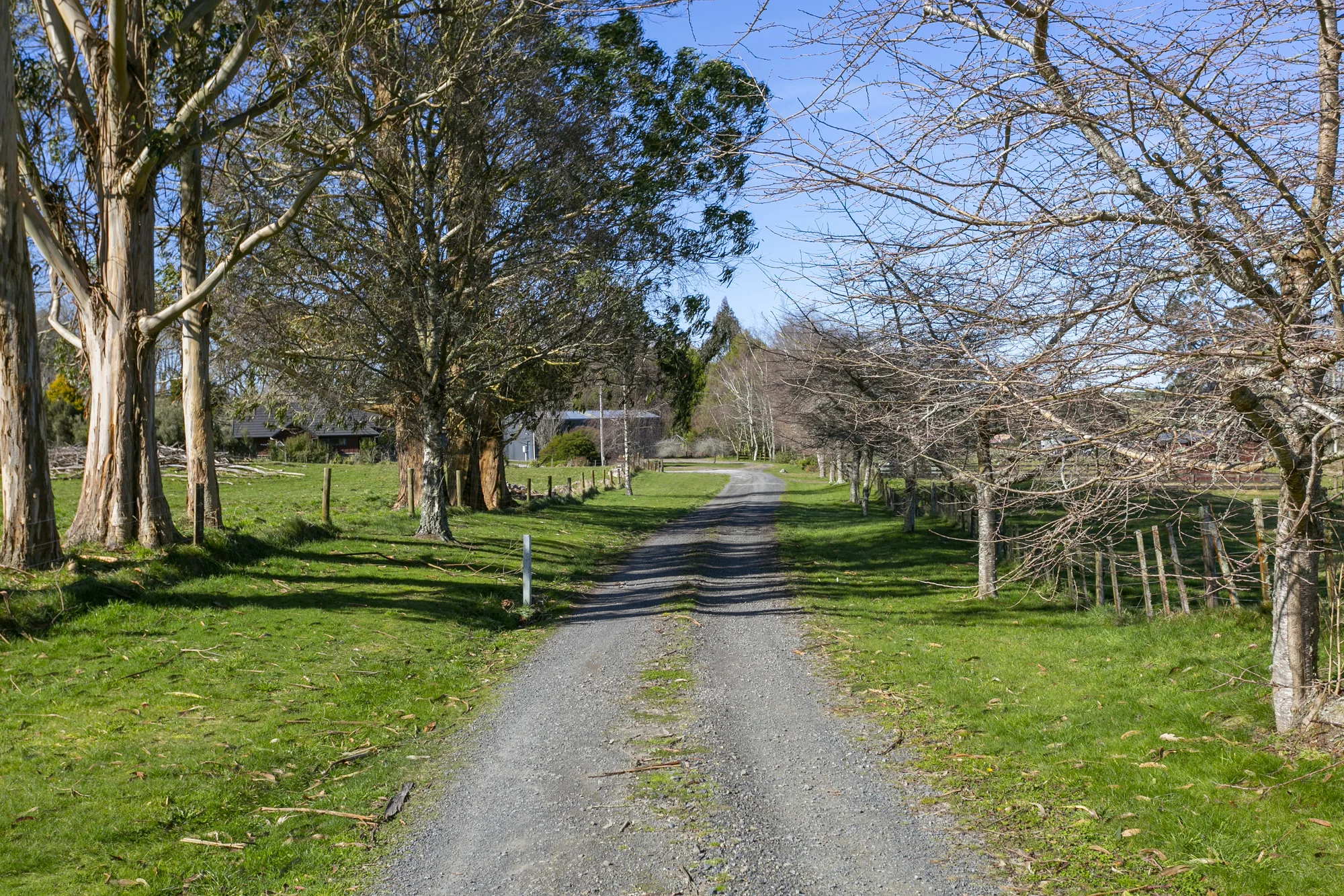 Wairakei and Surrounds  More than just a lifestyle block