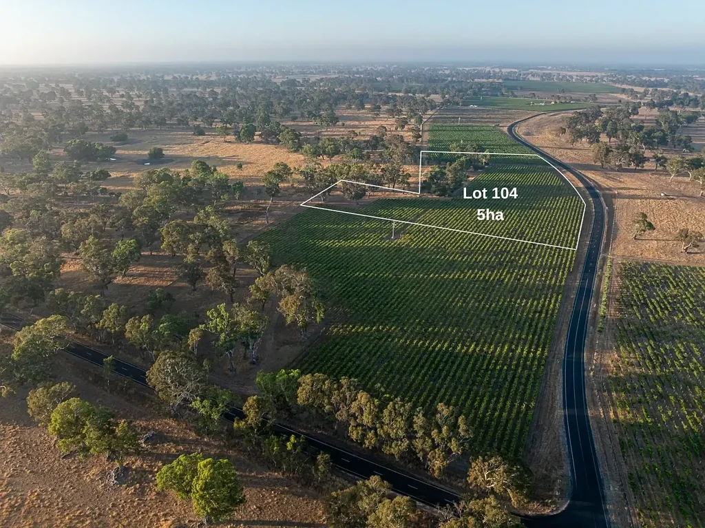 Penola Gum studded 5 hectare allotment two minutes from Penola