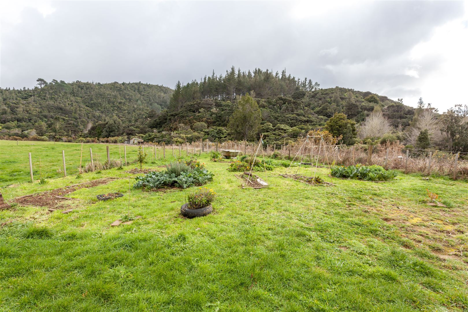 1858 The 309 Road, Kaimarama, Coromandel, 2房, 0浴