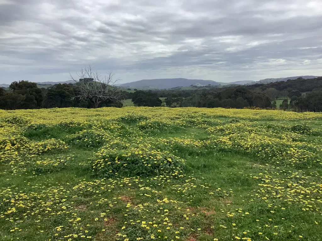 Whiteheads Creek Exceptional 16-Hectare Rural Lifestyle Property