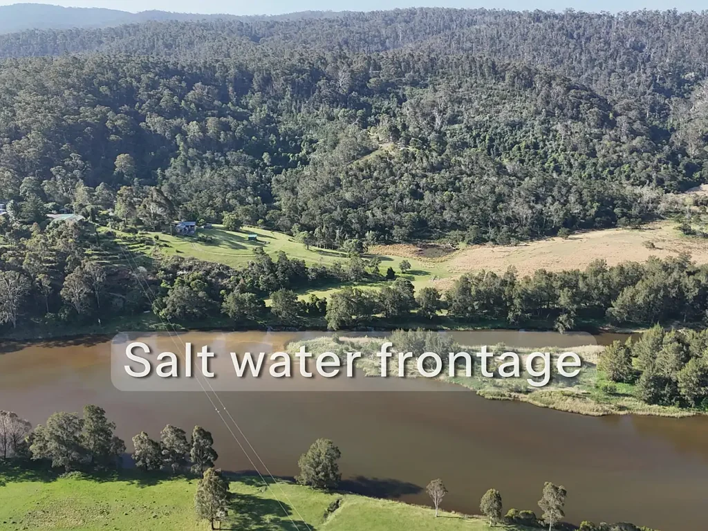 732 Reedy Swamp Road, Bega, NSW 2550