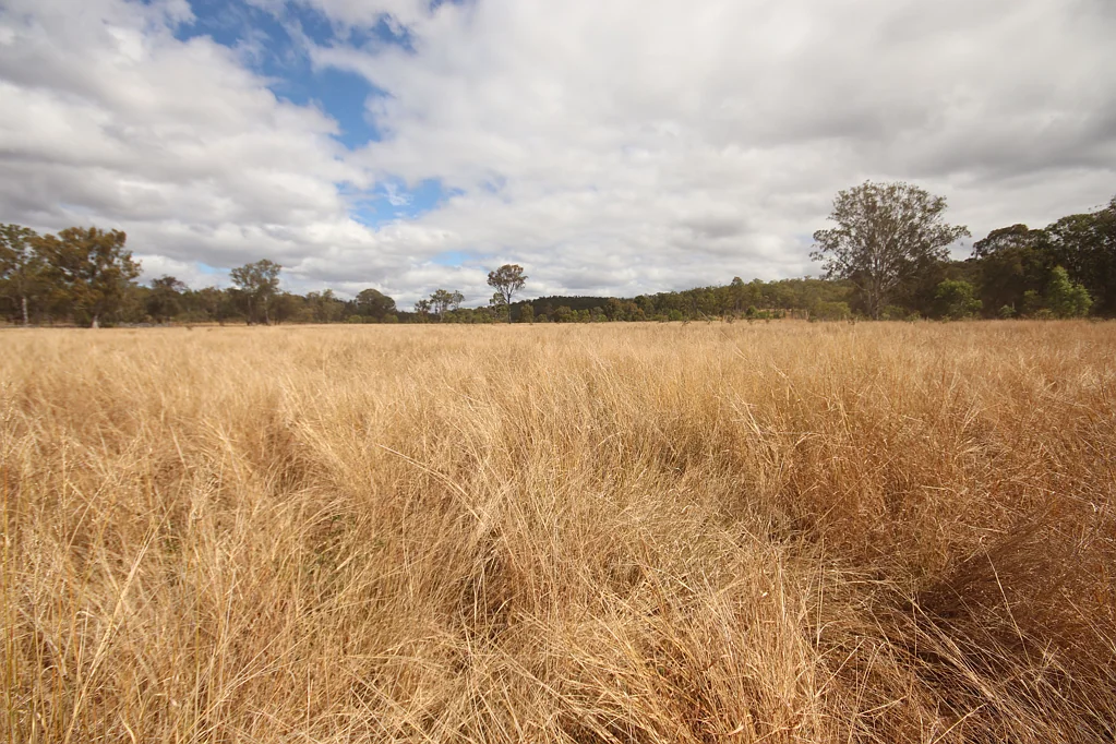 Eidsvold Large Scale Eidsvold Grazing
