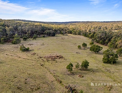 CA 3a & 3b Pittong - Snake Valley Road, Snake Valley, Ballarat, 0 Bedrooms, 0 Bathrooms, Section