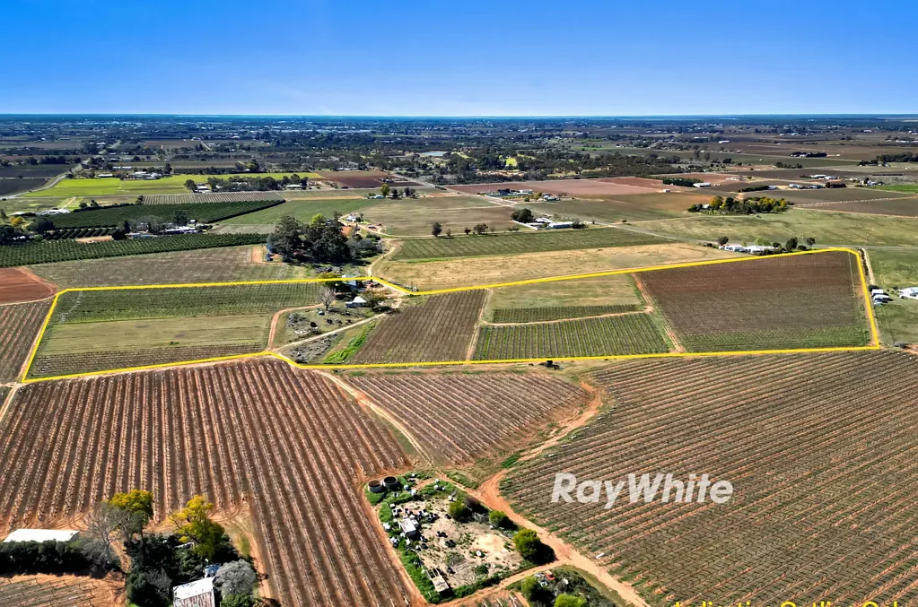 Red Cliffs Fresh fruit vineyard with cool room