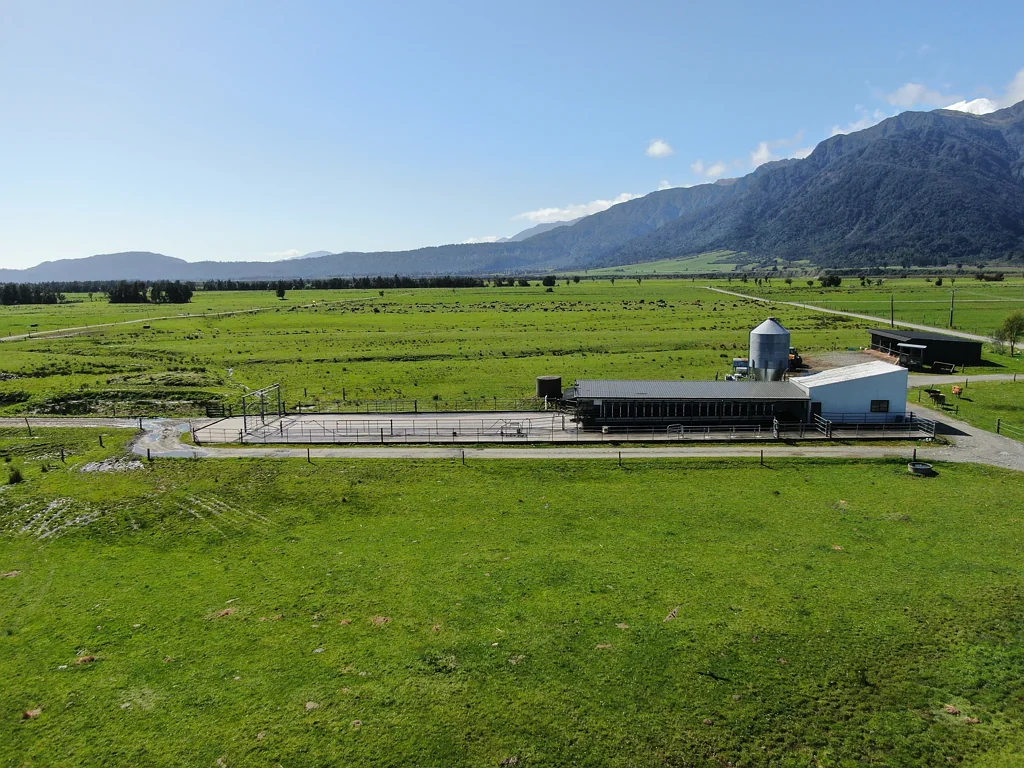 Whataroa First farm opportunity - 125 ha Whataroa Dairy