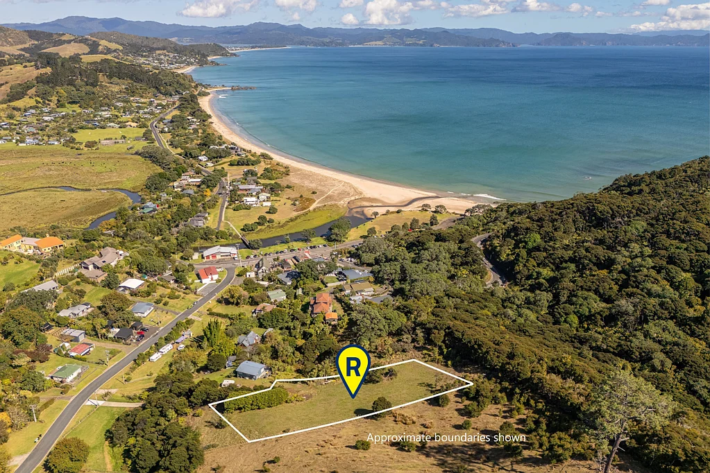 Whitianga Once In A Lifetime