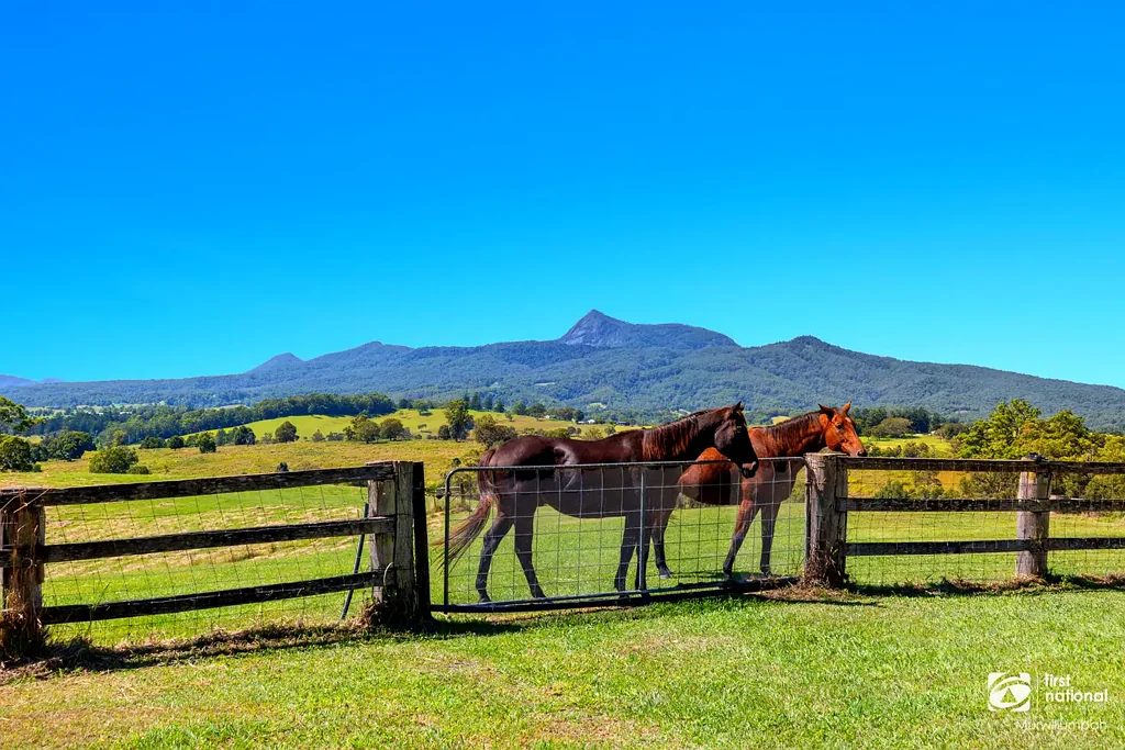 Pumpenbil 5ਬੈੱਡਰੂਮ Country Charm, Equine Lifestyle and Unrivalled Views