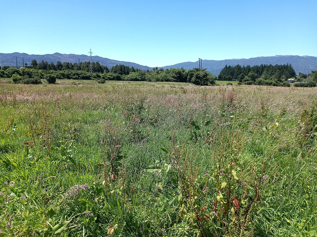 Westport Lifestyle Opportunity Awaits!!