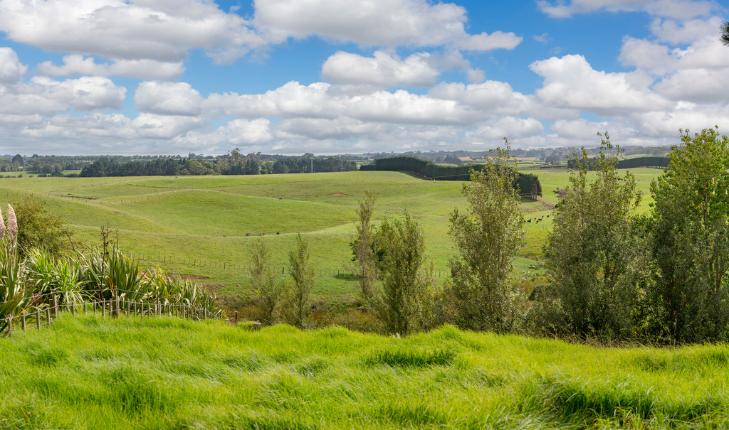 Rural  Rural Production Zone