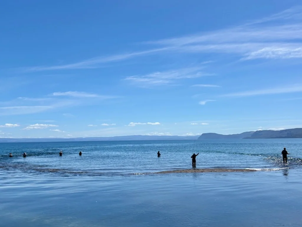 Waitahanui 3房  Bring All Offers