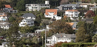 不到$100万入住Remuera，数据揭示顶级豪区的平价街道