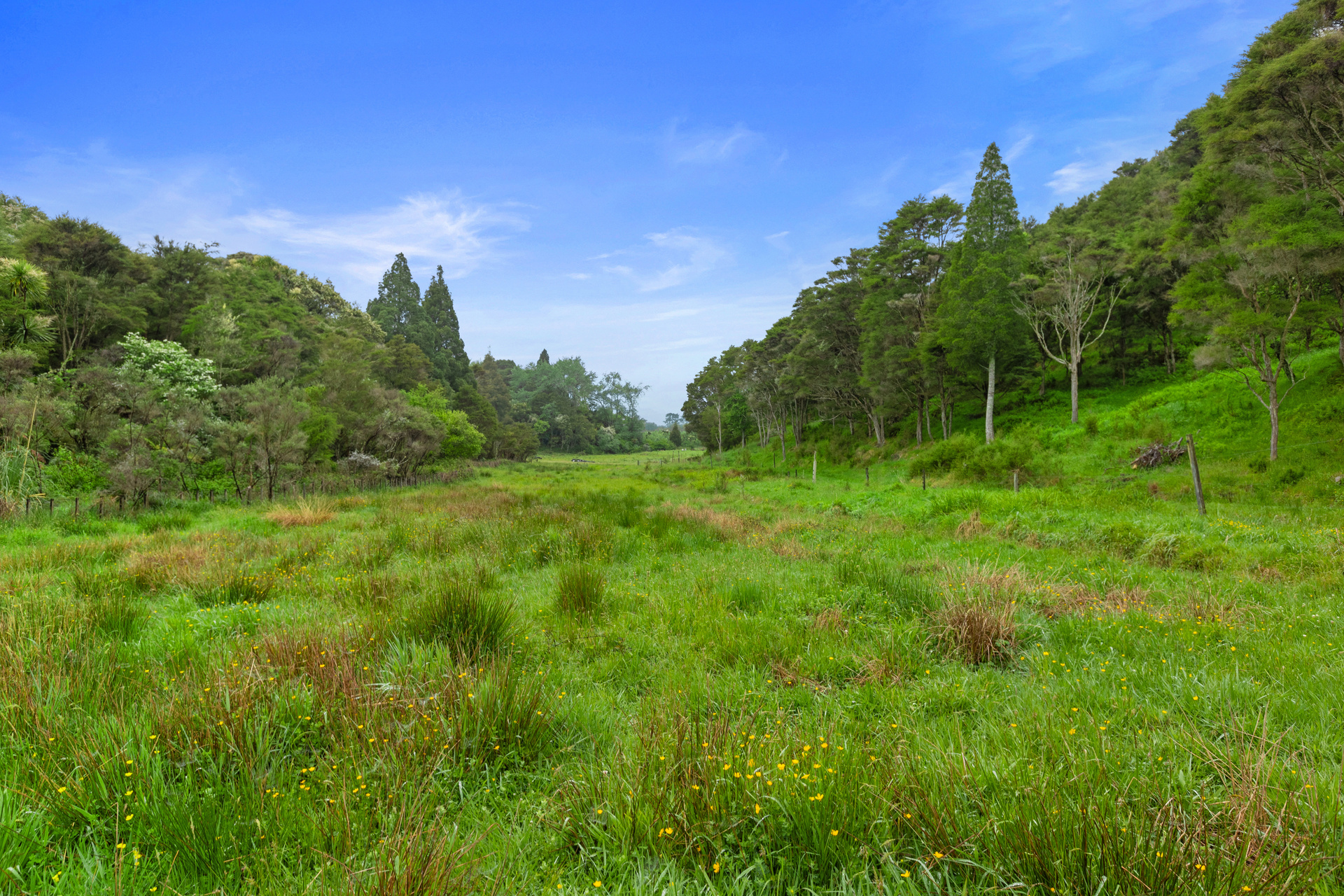 196 Foster Road, Taneatua, Whakatane, 3 Kuwarto, 1 Banyo, Lifestyle Property